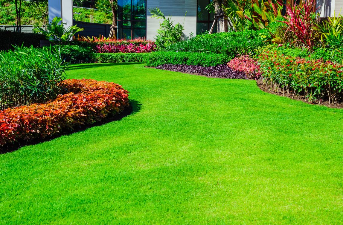 Customized Landscaping Services