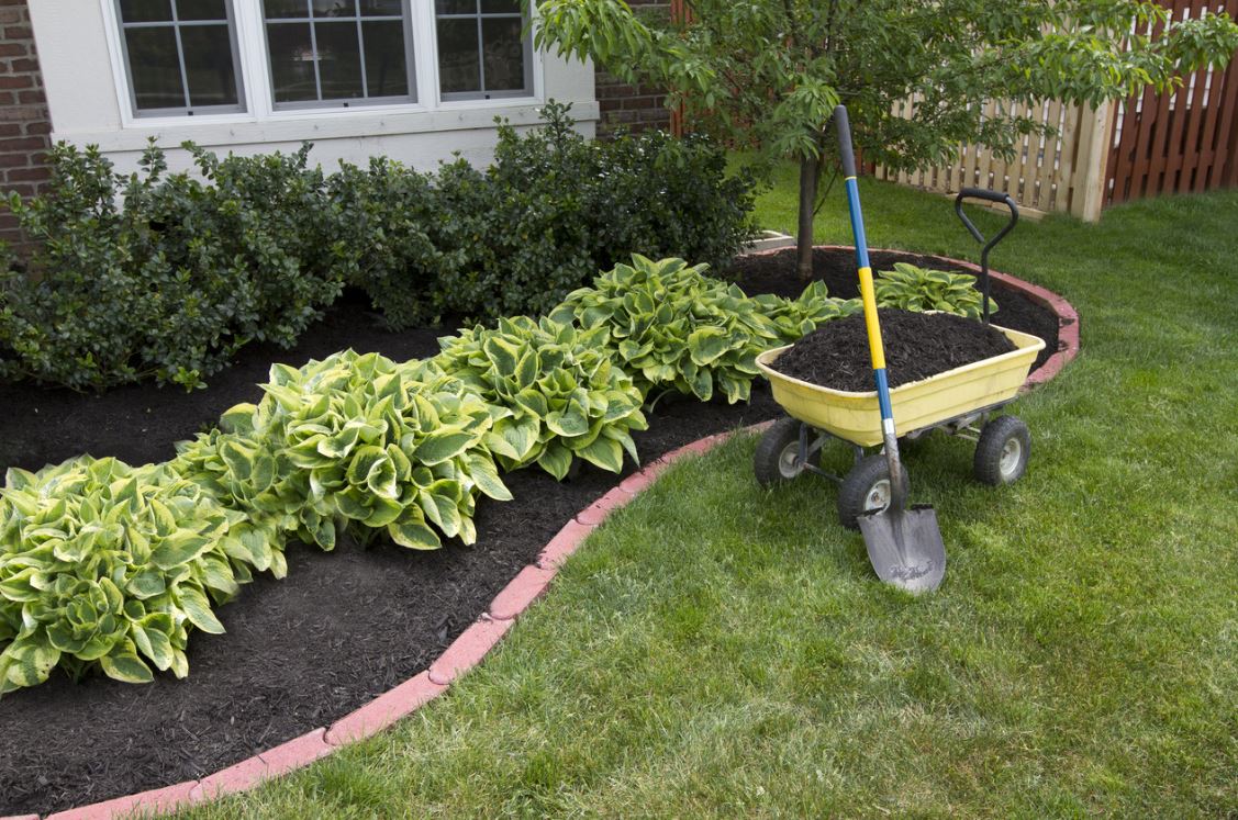 Customized Landscaping Services